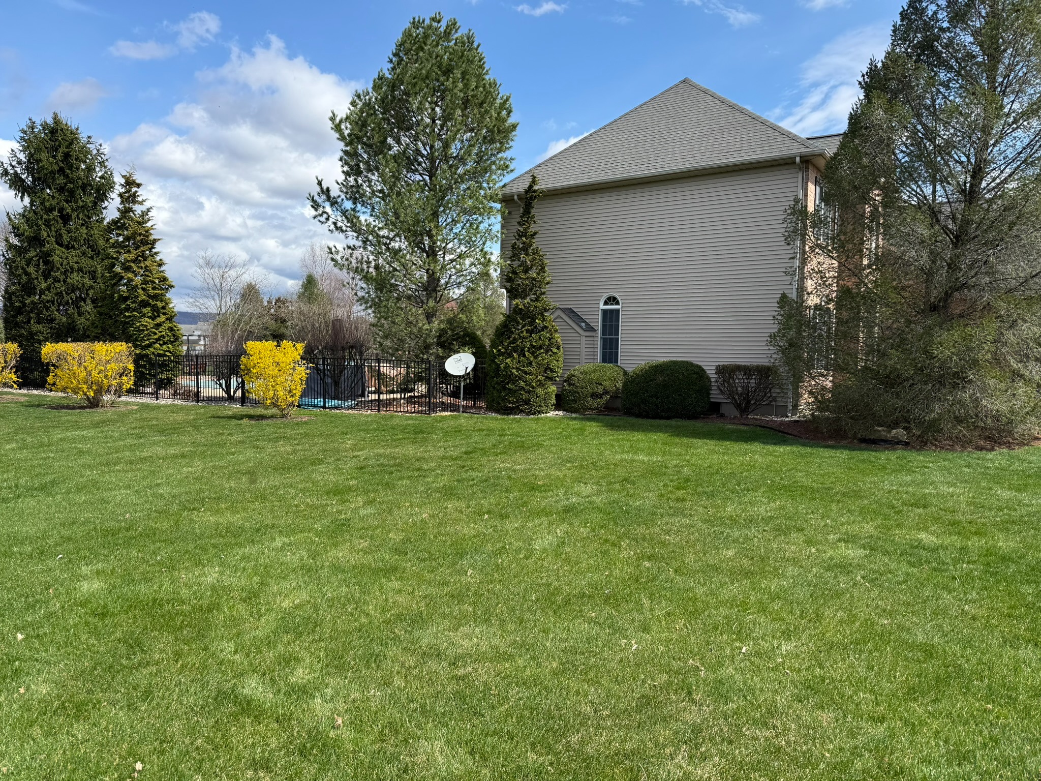 Backyard lawn care and landscape maintenance at residential property