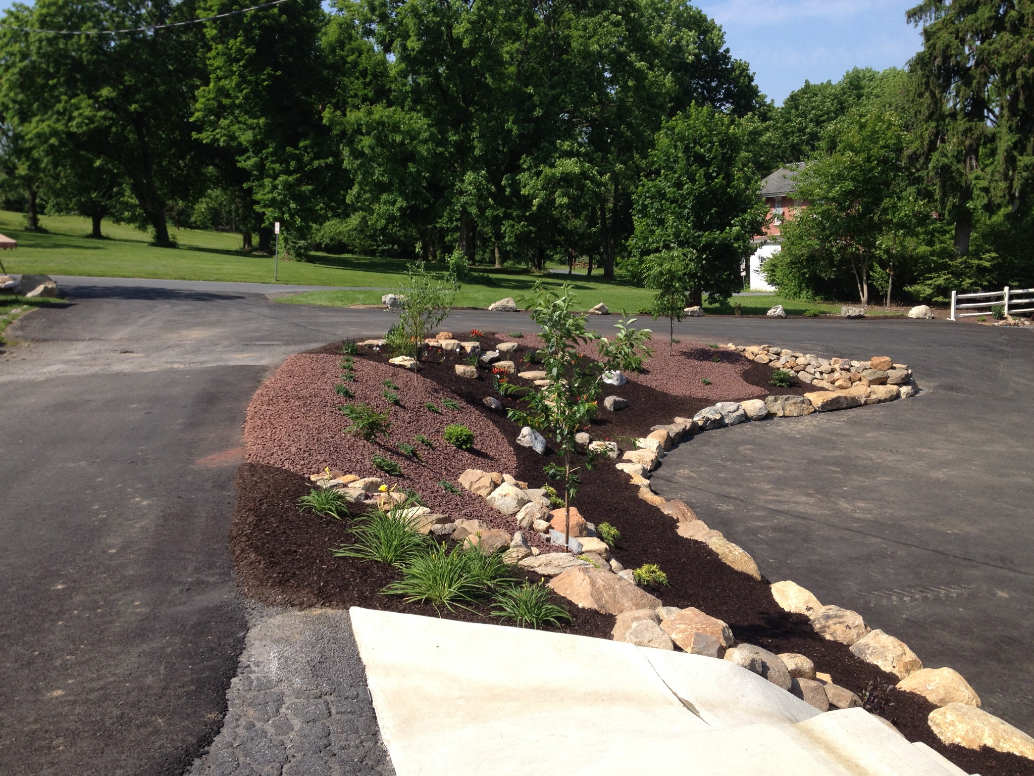 Wide view of commercial landscape bed installation in parking lot island