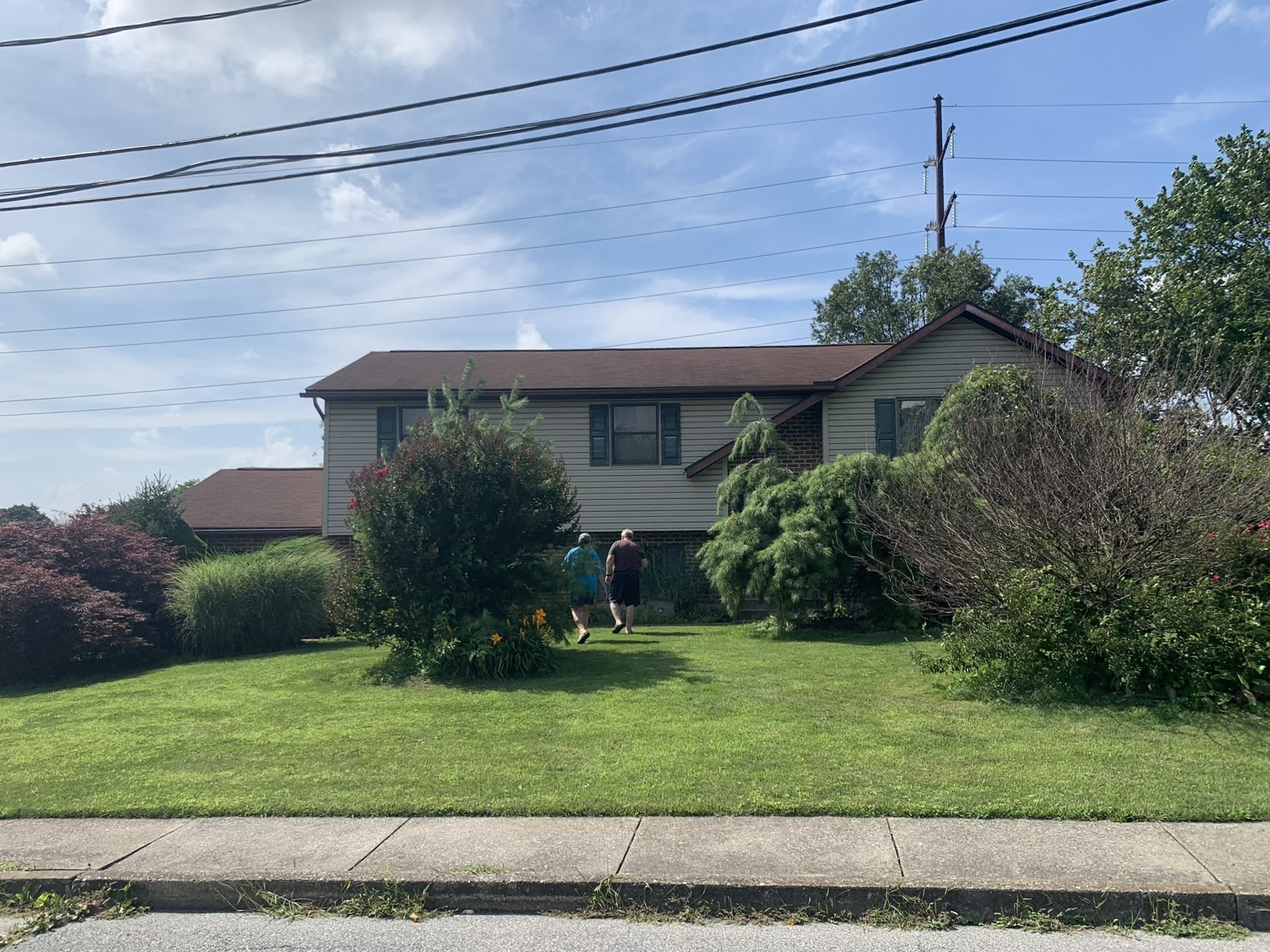Front yard with overgrown shrubs and dense landscaping in front of residential home in Lehighton PA before cleanup