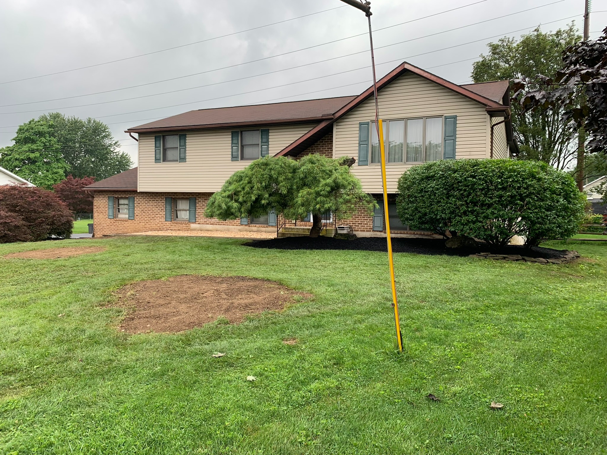 Brush clearing and wooded lot cleanup at residential property
