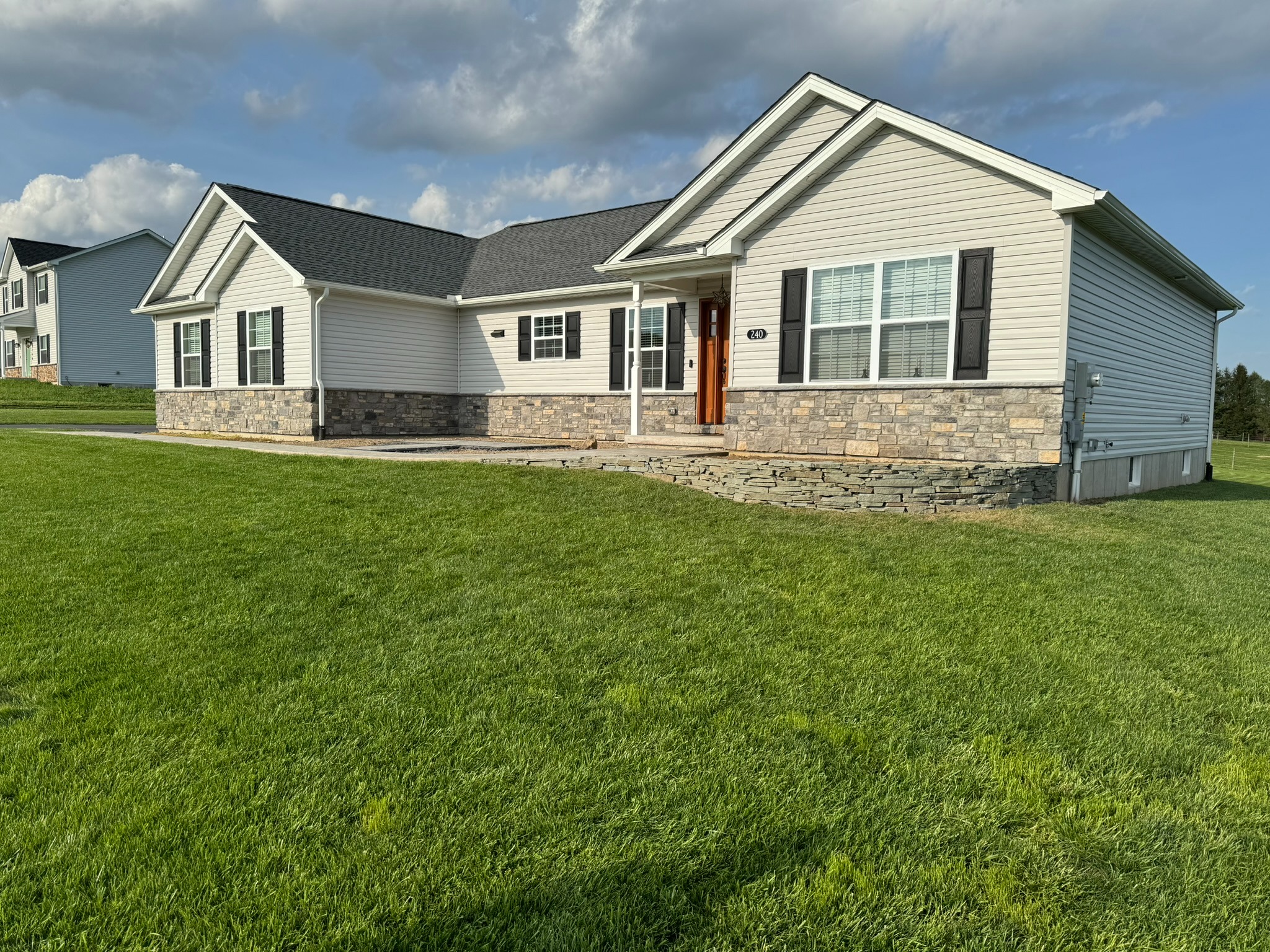 Yard cleanup and overgrowth removal at residential property